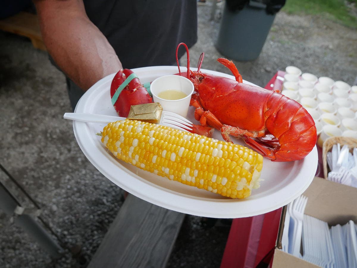 A person holds a plate featuring a cooked lobster, corn on the cob, and a small cup of melted butter.