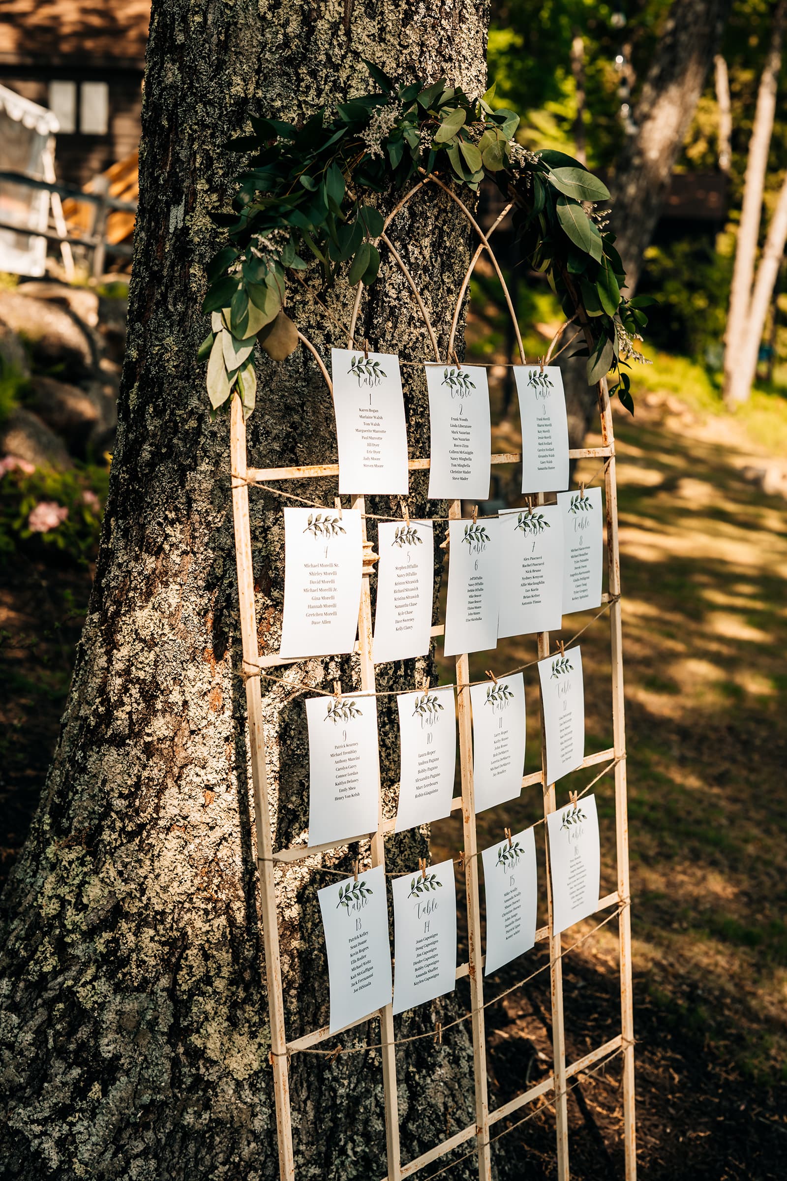 A wooden display with name cards arranged in rows, adorned with greenery, set against a tree.