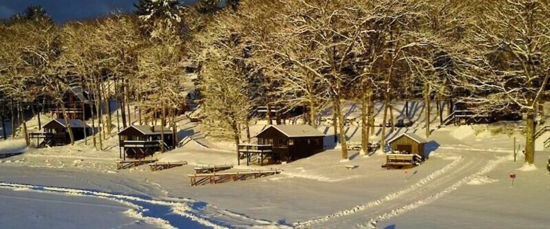 Winter landscape featuring wooden cabins surrounded by snow-covered trees.